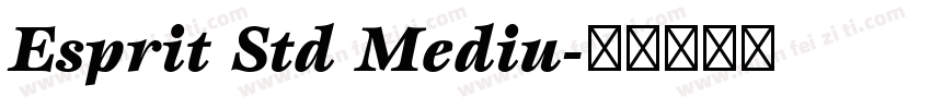 Esprit Std Mediu字体转换